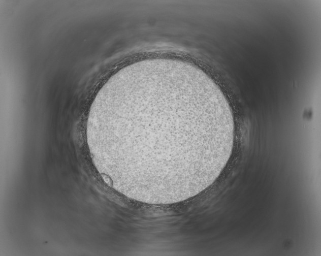 X0000115621493200912221217