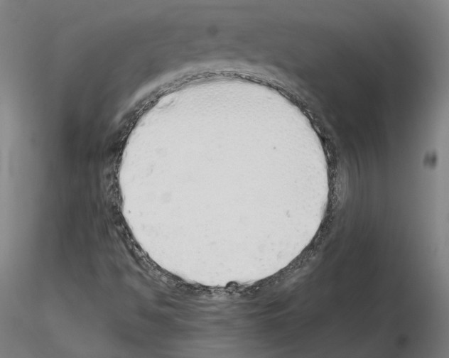 X0000115621494200912221217