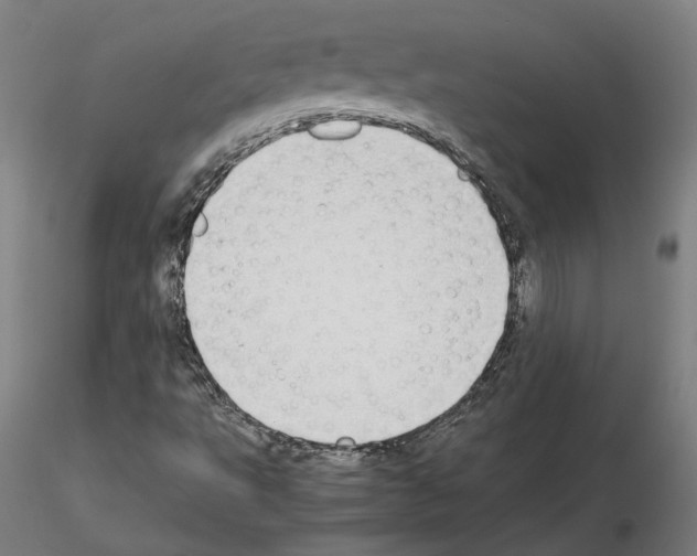 X0000115621495200912221217