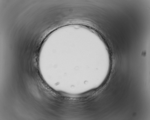 X0000115621497200912221217