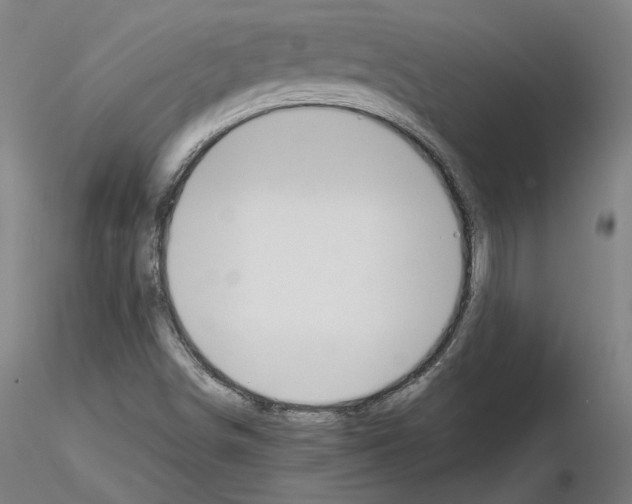X0000115621498200912221217