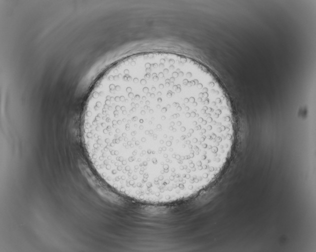 X0000115621499200912221217