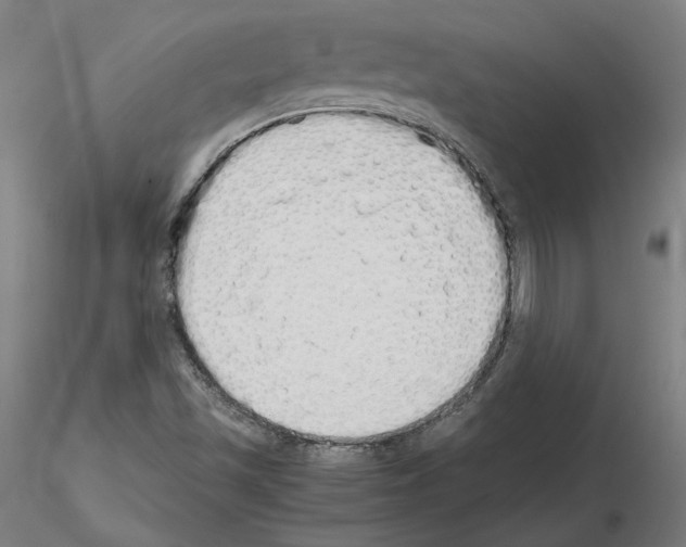 X0000115621501200912221217