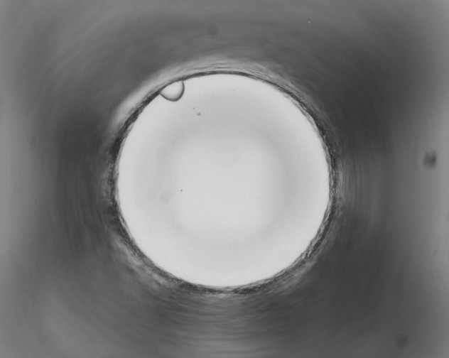 X0000115621502200912221217