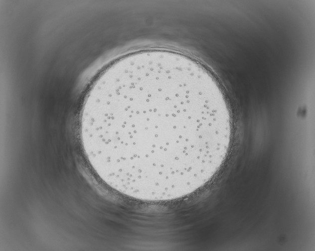 X0000115621503200912221217