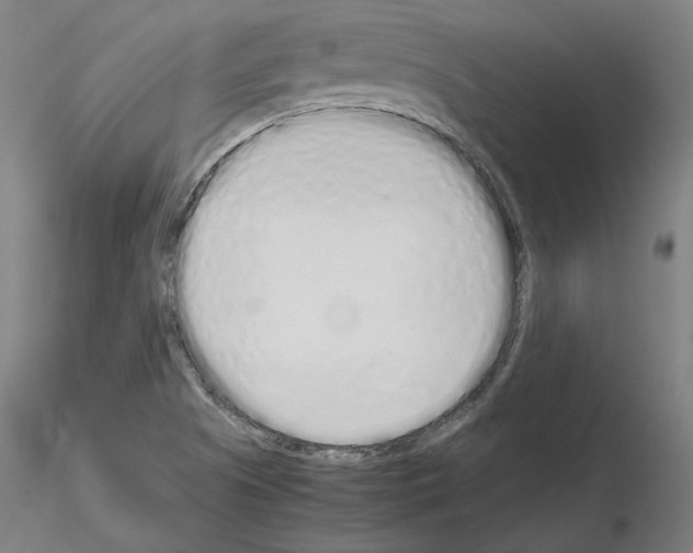 X0000115621505200912221217