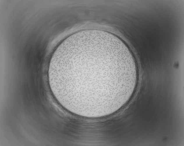 X0000115621507200912221217