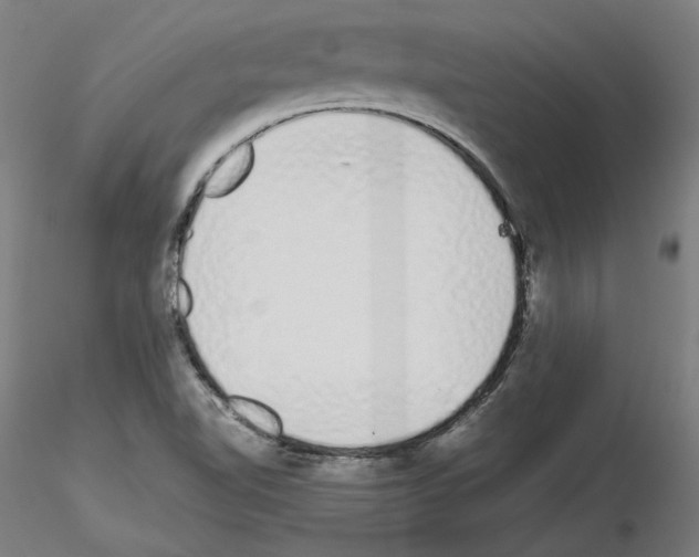 X0000115621510200912221217