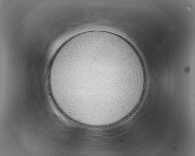 X0000115621511200912221217