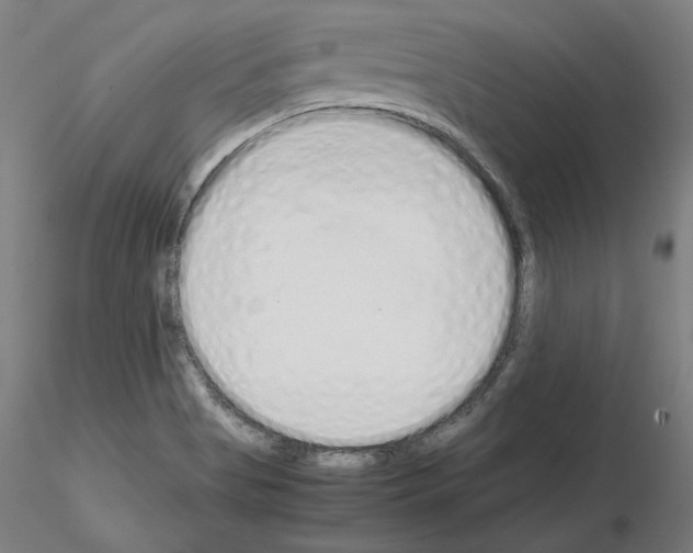 X0000115621513200912221217