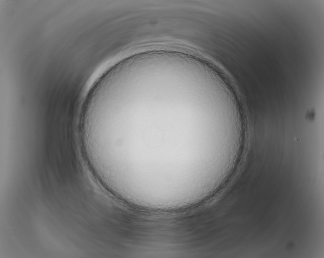 X0000115621514200912221217
