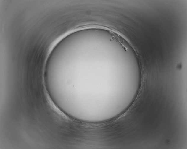 X0000115621518200912221217
