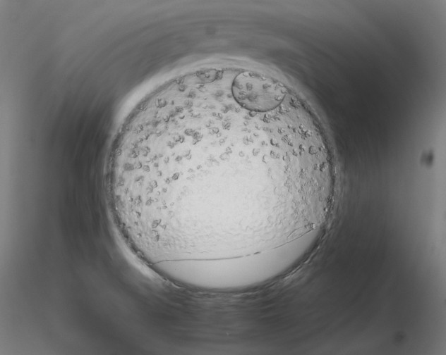 X0000115621519200912221217