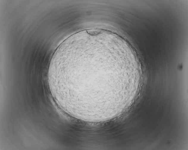 X0000115621521200912221217