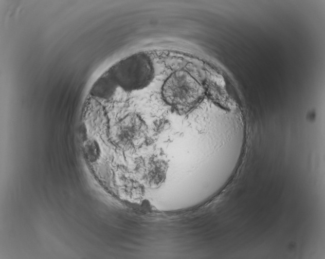 X0000115621522200912221217
