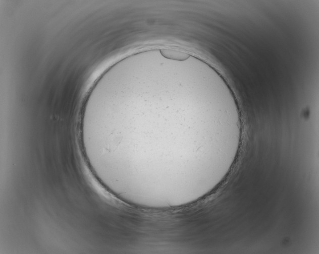 X0000115621523200912221217