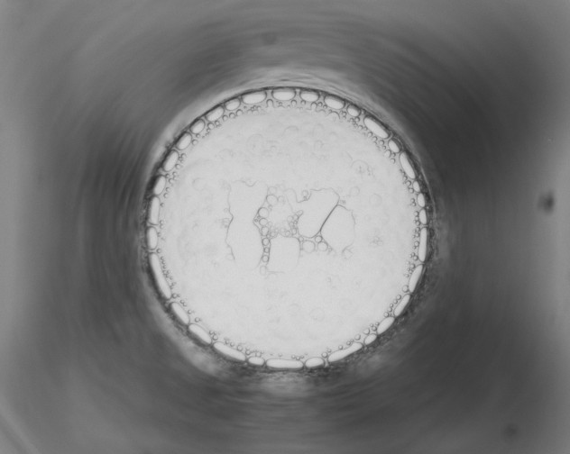 X0000115621525200912221217