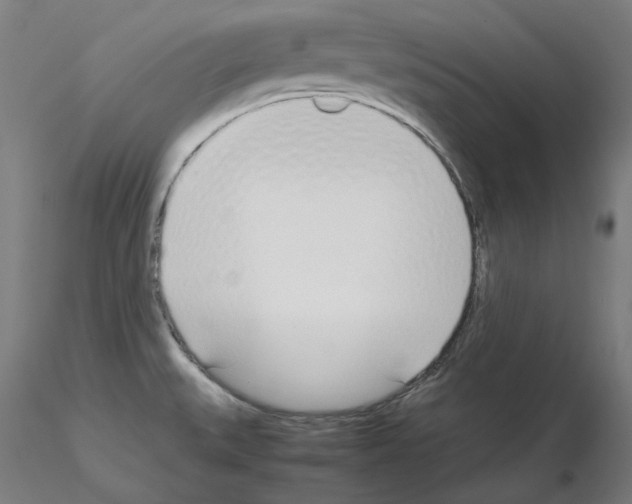X0000115621527200912221217