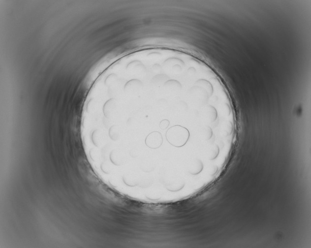 X0000115621529200912221217