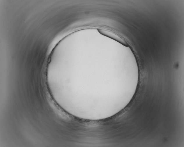 X0000115621530200912221217