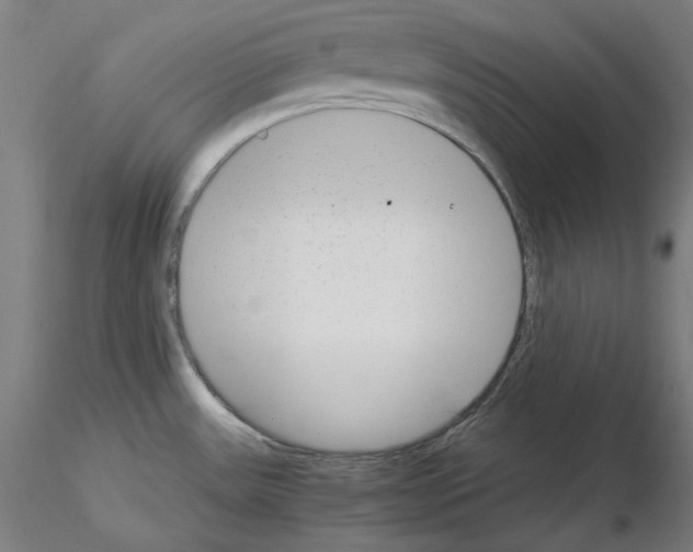 X0000115621531200912221217