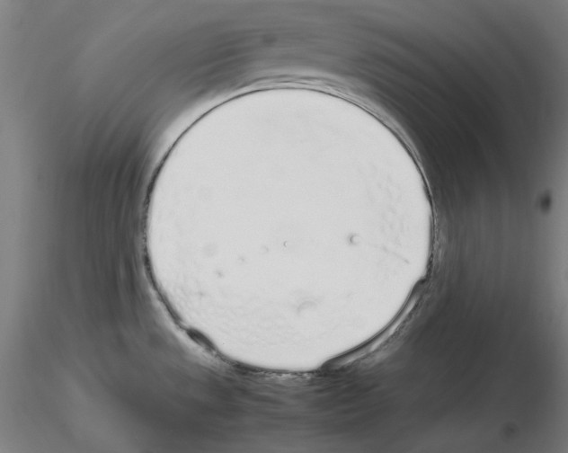 X0000115621533200912221217