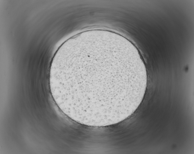 X0000115621534200912221217
