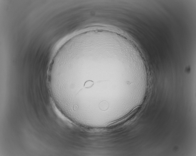 X0000115621535200912221217