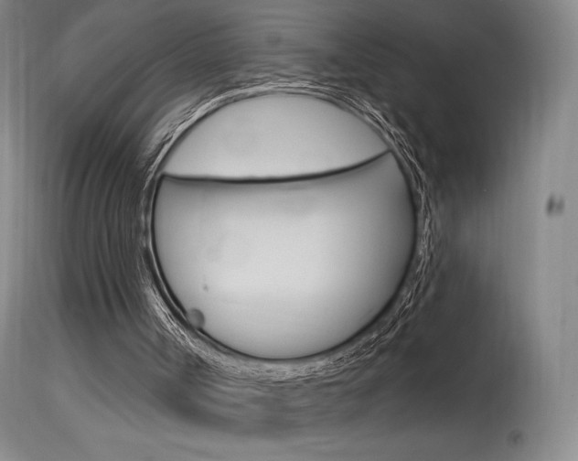 X0000115630002200911101129
