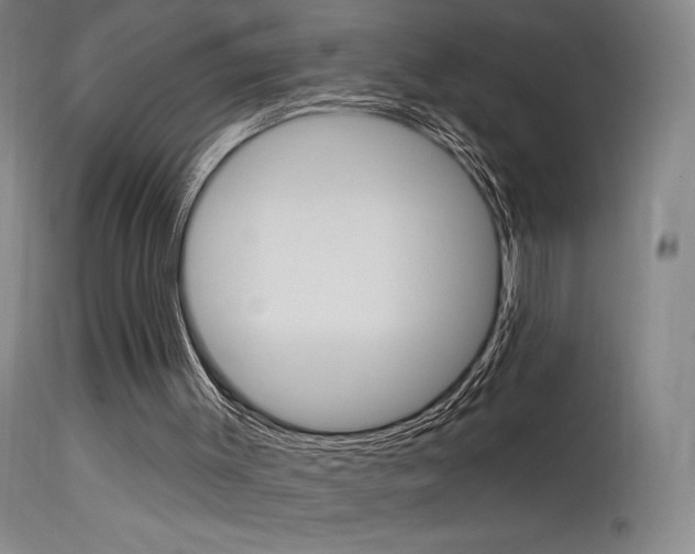 X0000115630003200911101129