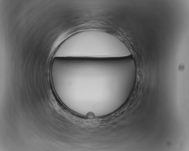 X0000115630004200911101129