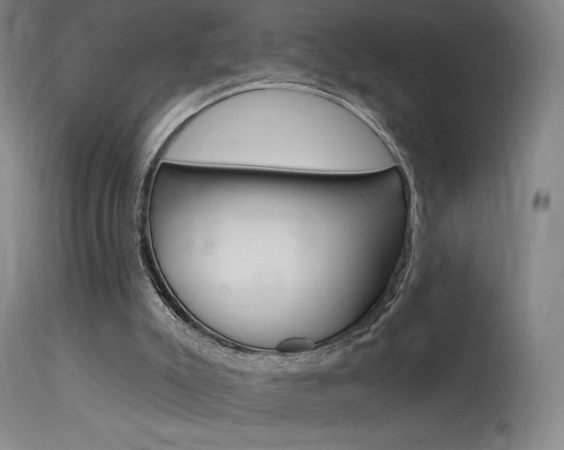 X0000115630007200911101129