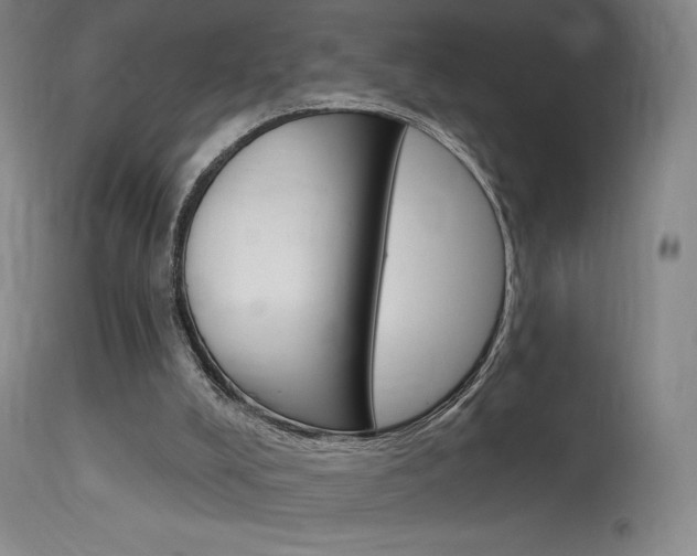 X0000115630008200911101129