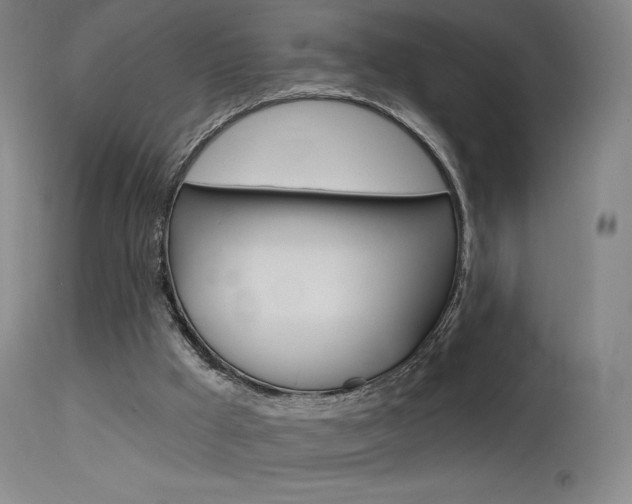 X0000115630009200911101129