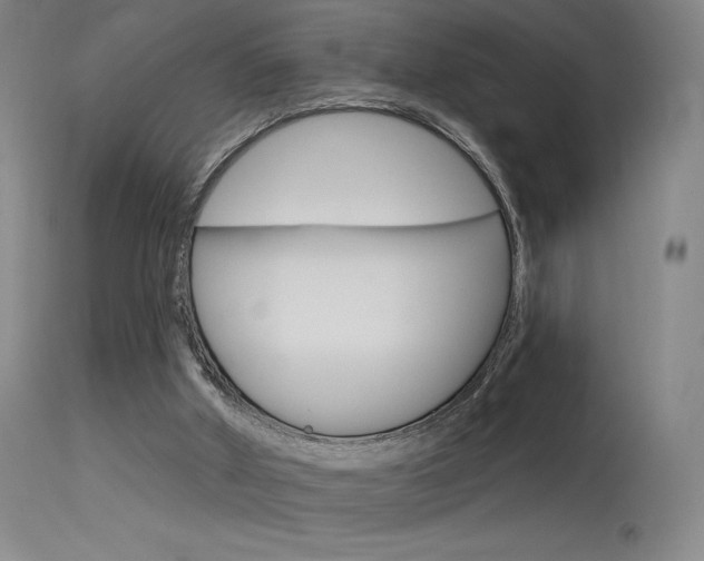 X0000115630010200911101129