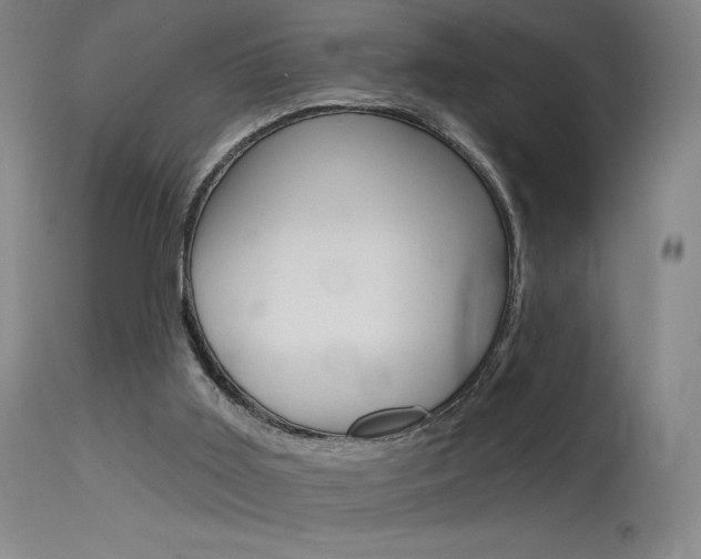 X0000115630011200911101129