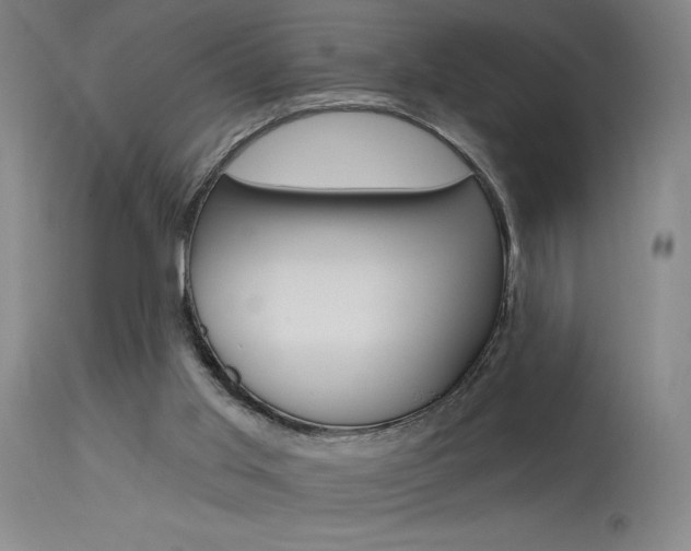 X0000115630013200911101128