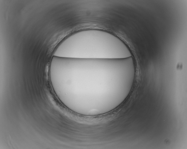 X0000115630014200911101128