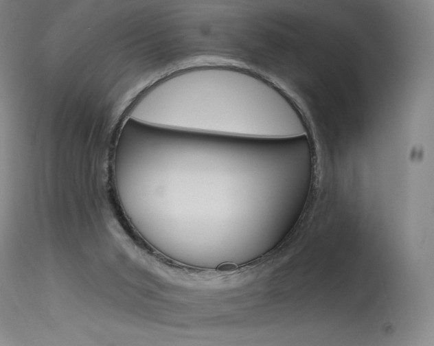 X0000115630015200911101128
