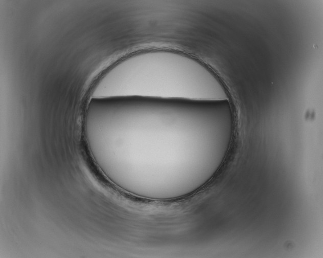X0000115630016200911101128