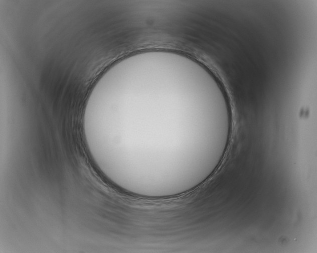 X0000115630017200911101128