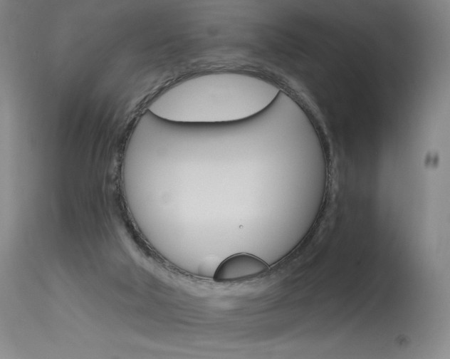 X0000115630018200911101128