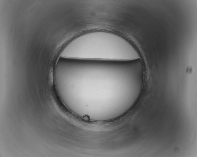 X0000115630020200911101128