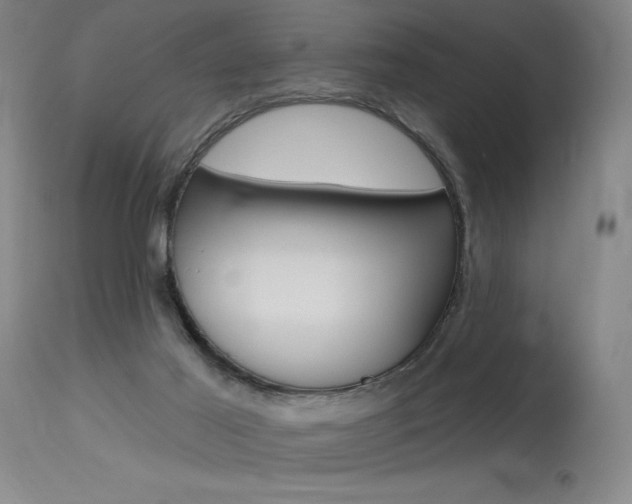 X0000115630021200911101128