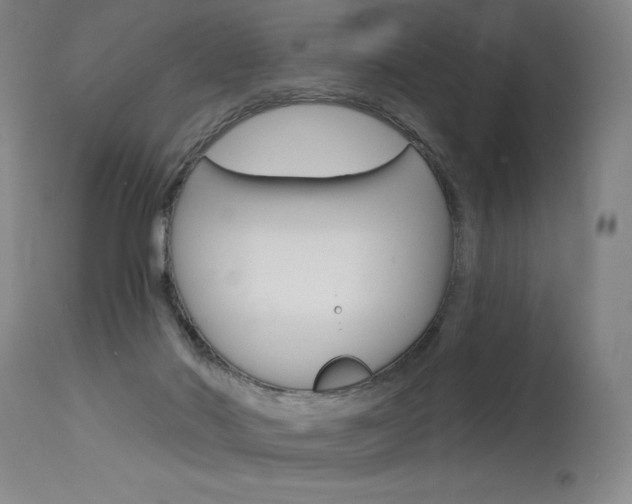 X0000115630022200911101128