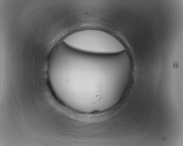 X0000115630023200911101128