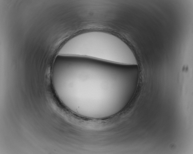 X0000115630024200911101128
