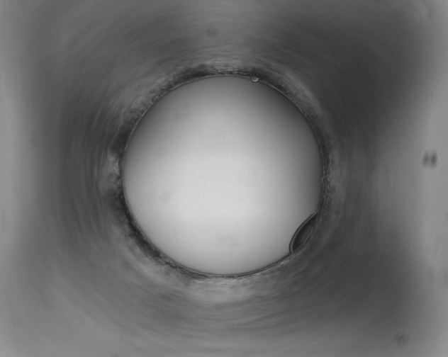 X0000115630025200911101128