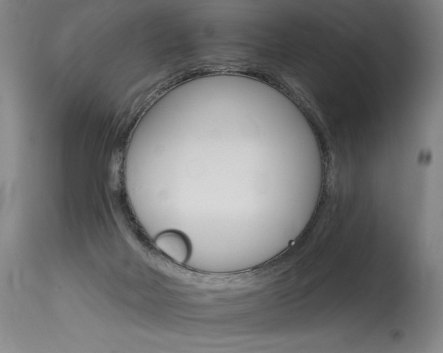 X0000115630026200911101128