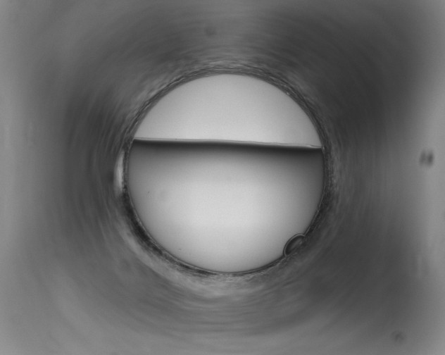 X0000115630028200911101128